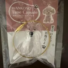 わんこのタイムカプセル