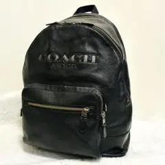 美品✨コーチ 71755 カモフラージュ レザーリュック カーキ ブラック 
