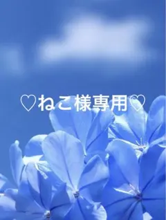 COCO DEAL ノースリーブ花柄ドッキングワンピース M