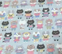 Item thumbnail for item 1f8a6a8f-4784-4f04-89ef-378bd4e22c43