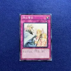 2026年最新】遊戯王 エラー ホログラムの人気アイテム - メルカリ