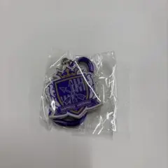 サンフレッチェ広島 Jリーグ クラブエンブレム メタルチャーム