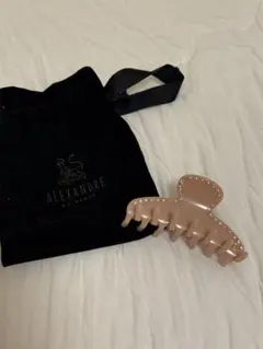 オルセー美術館 ALEXANDRE DE PARIS ヴァンドーム ヘアクリップ - メルカリ
