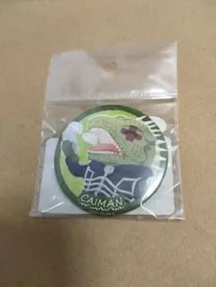 紀伊國屋 ポップアップストア限定ドロヘドロ 栗鼠 ぱすてろう 缶バッジ 