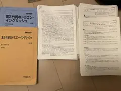 駿台現役エクストラ「高3竹岡のドラゴン・イングリッシュ」　テキスト+授業プリント 2026年最新】竹岡 ドラゴンイングリッシュ プリントの人気アイテム