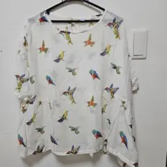 Item thumbnail for item 2278a8d4-cec1-42e0-ae36-c231e9bdbbc2