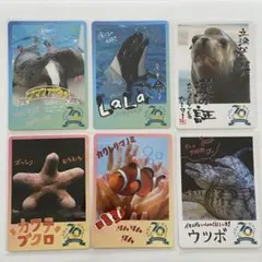 しー　様　鳥羽水族館 　70周年記念カード コレクションカード 20個セット m14549828583_1.jpg?1751534480