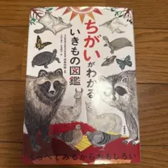 図鑑