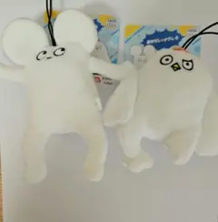 はじめまして松尾です。ぬいぐるみ