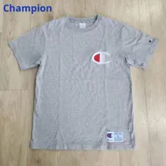 チャンピオン デカロゴ Tシャツ 綿100% 刺繍 Champion 古着