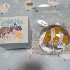 momo　海洋シリーズ　かくれくまのみのサムネイル
