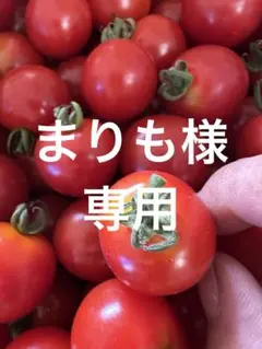 まりも様•*¨*•.¸♬︎