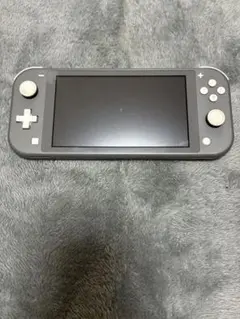 Nintendo Switch Lite グレー 本体（ジャンク品）