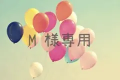 M様 リクエスト 2点 まとめ商品