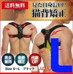 Item thumbnail for item b50ccfe8-e901-451c-9890-1ceb77f84c56