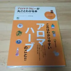 Item thumbnail for item 28a213a0-499e-40e8-bbdf-a337ac5fb1a5