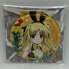 魔法少女リリカルなのは オリジナルラベル缶 フェイト アクキー - メルカリ