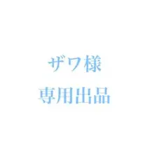 ザワ様専用ページ