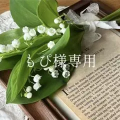 もぴ様お問い合わせページ