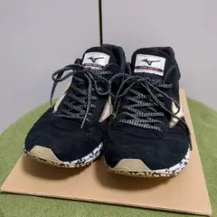 Item thumbnail for item c794124a-1a77-475e-a7da-f8865493713e