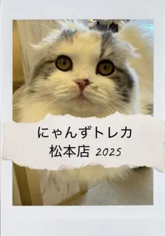 バラ売り可】にゃんずトレカ町田ジョルナ店 2024 - メルカリ