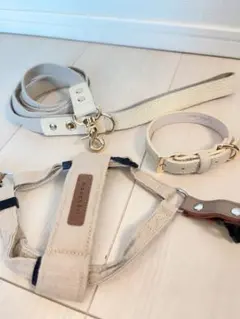 Item thumbnail for item b075cb61-504a-4f0d-86e1-7fab7de2947c