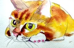 maro様 リクエスト 3点 まとめ商品