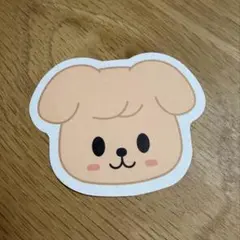 Stray Kids スキズ ペンミ 落下物 コンフェッティ パピム