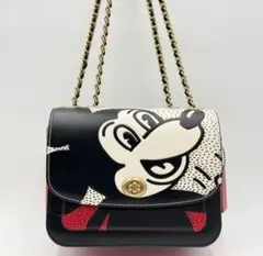 2026年最新】coach キースヘリング ミッキーの人気アイテム - メルカリ