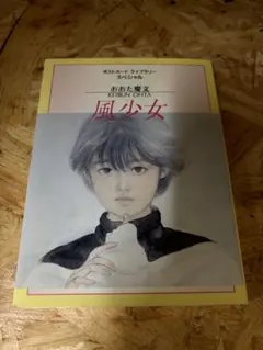 はいかぶり物語／映画チラシ・フライヤー お宝発見MANIAX！希少レア珍品レトロ はいかぶり物語／映画チラシ・フライヤー お宝発見MANIAX！希少レア