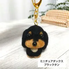 Item thumbnail for item e8faf0fa-b451-4b2e-bac2-2459fa6a1ddc