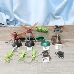 【玩具】 BANDAI いきもの大図鑑 昆虫フィギュア9体セット スズメバチ