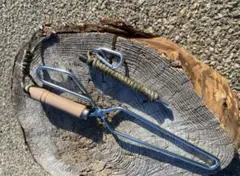 Item thumbnail for item dfc95b85-4bab-4fac-a156-636f4cf289aa