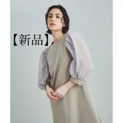 GRACE CONTINENTAL 未使用 近年 春夏 メッシュタックスリーブ