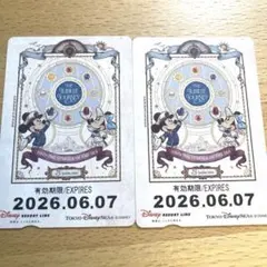 2026年最新】ディズニーリゾートライン フリーパスの人気アイテム