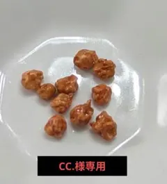 CC.様専用