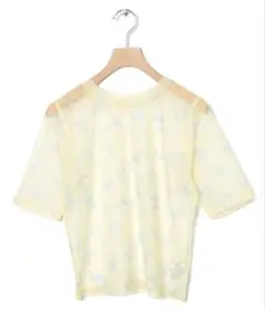 w closet シアーリボントップス