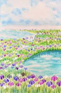 水彩画 ブーゲンビリアと小鳥さん 値段は※900円です - メルカリ