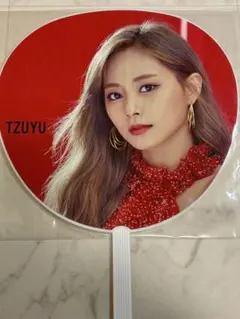 TWICE ツウィうちわ TWICE WORLD TOUR