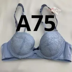 Item thumbnail for item 85a0b2a2-1373-4a4d-8925-db007846cf5c