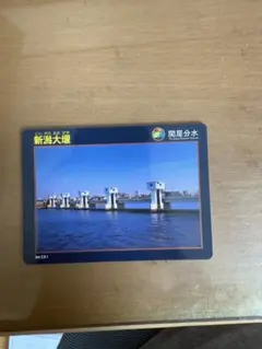 2025年最新】水門カードの人気アイテム - メルカリ