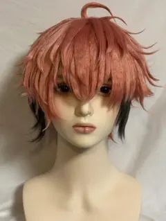 にじさんじ 赤城ウェン コスプレ ウィッグ - メルカリ