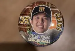 Item thumbnail for item 10000525-95d1-48bc-bb0c-634b23850202