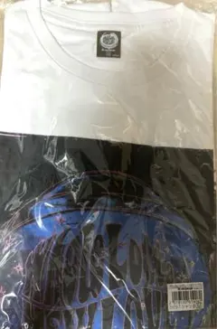 Item thumbnail for item 5d265d85-c707-4107-97c7-1a824c6822c9