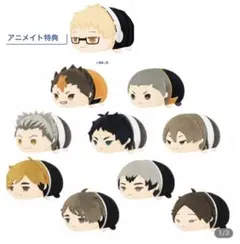 ハイキュー もちマス vol.3 特典付き