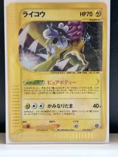 2025年最新】ライコウ eカードの人気アイテム - メルカリ