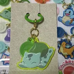 ポケモン ポケモンセンター限定 大器晩成 フカマル メタルチャーム