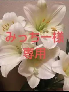 みっちー様専用