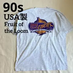 90s USA製 フルーツオブザルーム ポケットTシャツ シングルステッチ