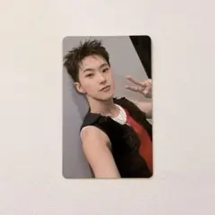 seventeen セブチ hxw ホシウジ warning トレカ ホシ